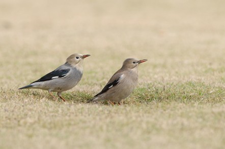 夜?雨林——雨林深處秘境探訪(fǎng)