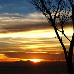 夜?雨林——雨林深處秘境探訪(fǎng)