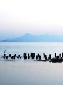 夜?雨林——雨林深處秘境探訪(fǎng)