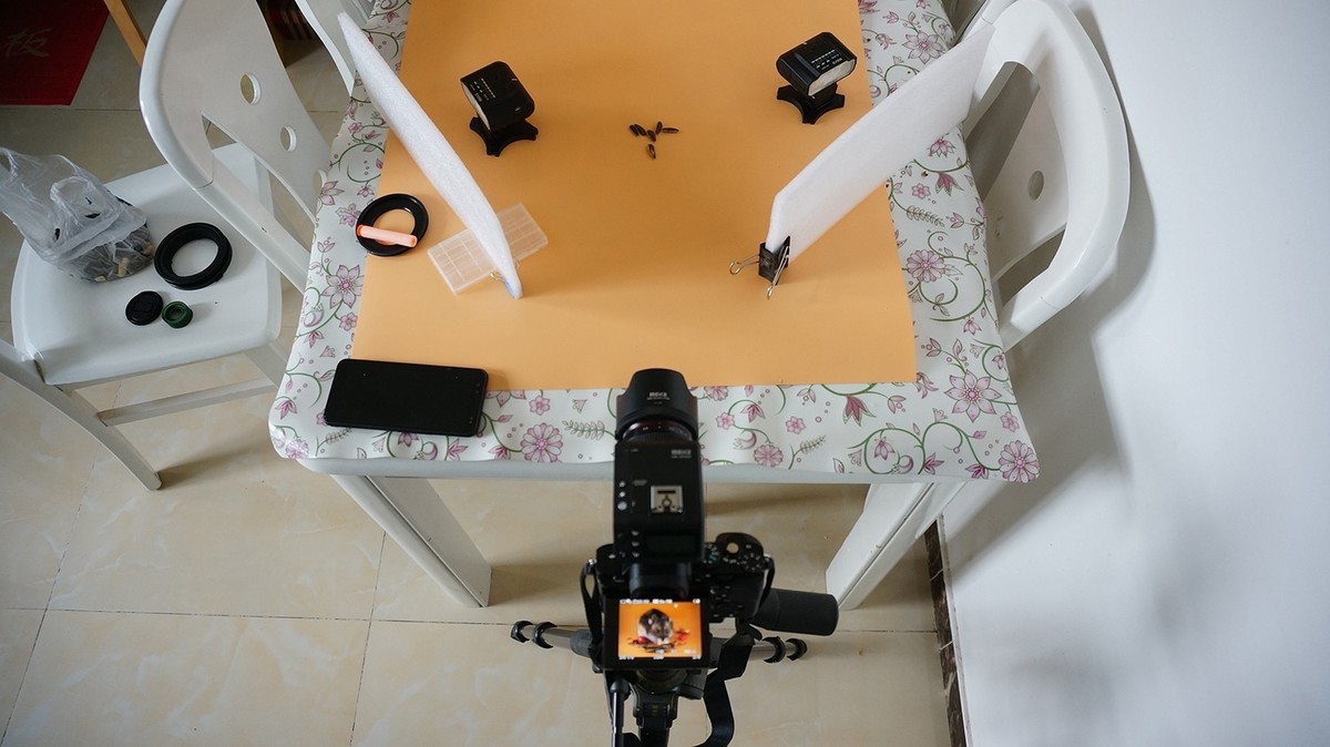 玩出微距新高度—美科MK-MT24閃光燈體驗