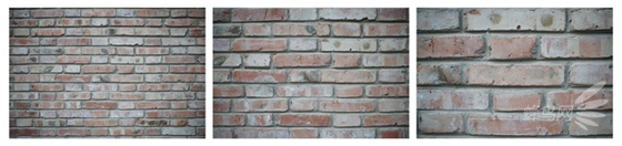 精細調焦與馥郁色彩 美科25mm f1.8鏡頭評測