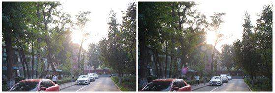 精細調焦與馥郁色彩 美科25mm f1.8鏡頭評測