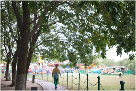 精細調焦與馥郁色彩 美科25mm f1.8鏡頭評測