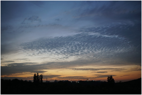 精細調焦與馥郁色彩 美科25mm f1.8鏡頭評測